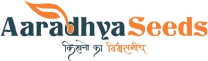 The position of Coordinator – Job Opening at Aaradhya Seeds (As per advertisement)