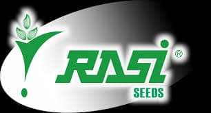 The position of Stores Trainee – Job Opening at Rasi Seeds (As per advertisement)