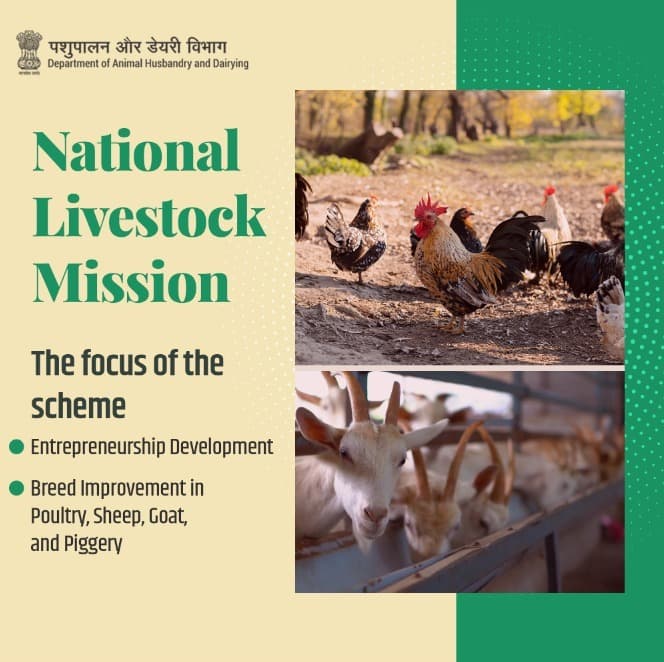 National Livestock Mission 2026: Eligibility, Funding, & Application Process